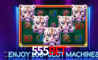 Descubra a Essência do 555bet: Nossa História e Compromissos